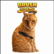 Brush Jjaemu