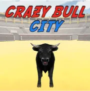Crazy Bull City