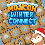 Mojicon Winter Connect 