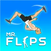 Mr Flip